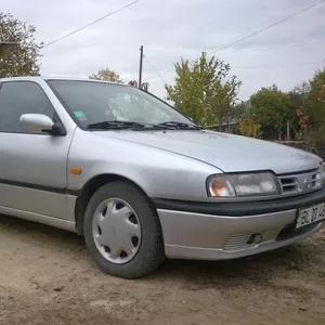 nissan primiera 