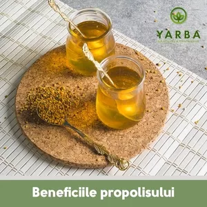 Propolis Si Beneficile lui