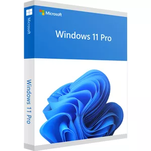 Windows 11 Pro 32/64 Bit